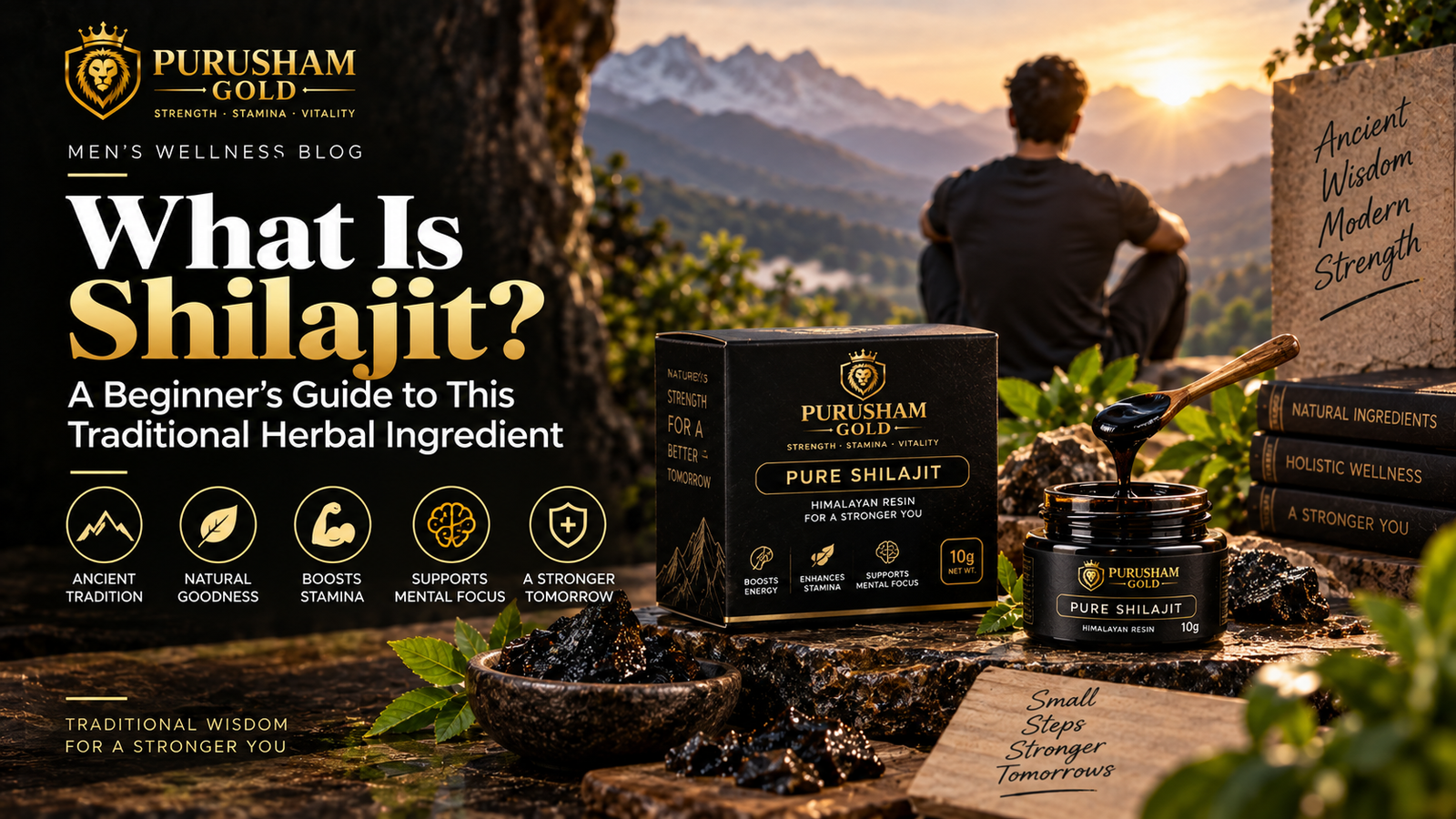 What Is Shilajit? A Beginner’s Guide to This Traditional Herbal Ingredient